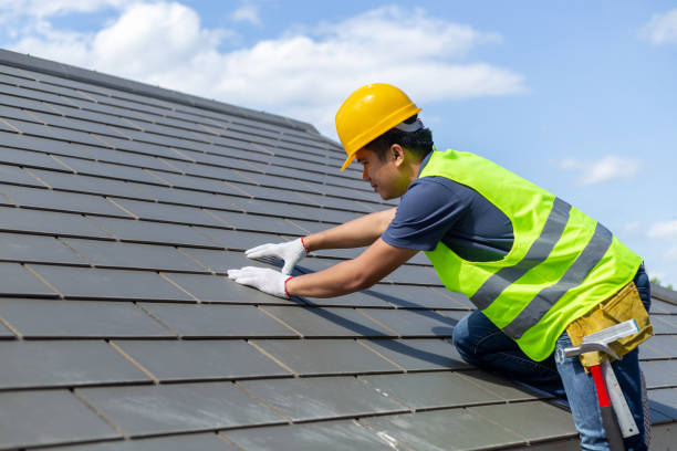 Roof Gutter Cleaning in Jeffersonville, KY