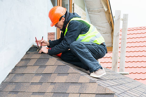 Best Roof Gutter Cleaning  in Jeffersonville, KY